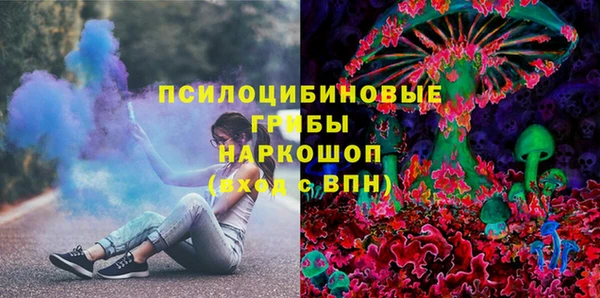 ПСИЛОЦИБИНОВЫЕ ГРИБЫ Осташков