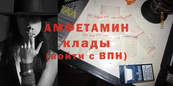дмт Пересвет