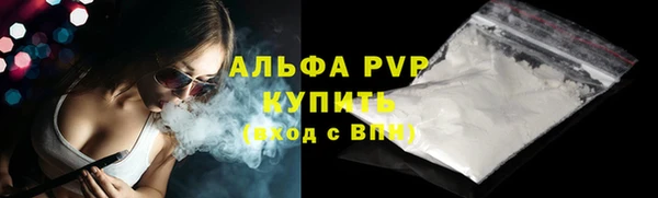 мдпв Пестово
