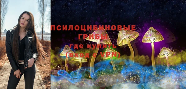 меф Осинники
