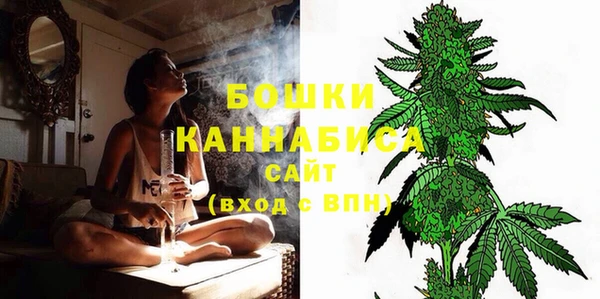 мдпв Пестово