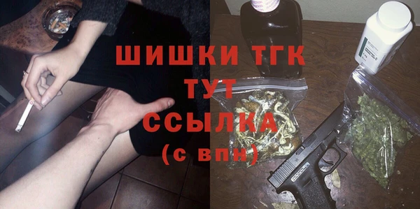 дмт Пересвет
